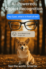 AI Vue™ Smart AI Glasses